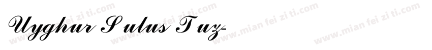 Uyghur Sulus Tuz字体转换